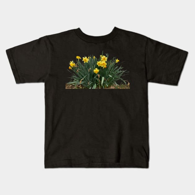 Clump of Daffodils Kids T-Shirt by Amanda1775